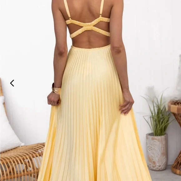 Elegant Yellow Pleated Dress - Picture 2 of 4